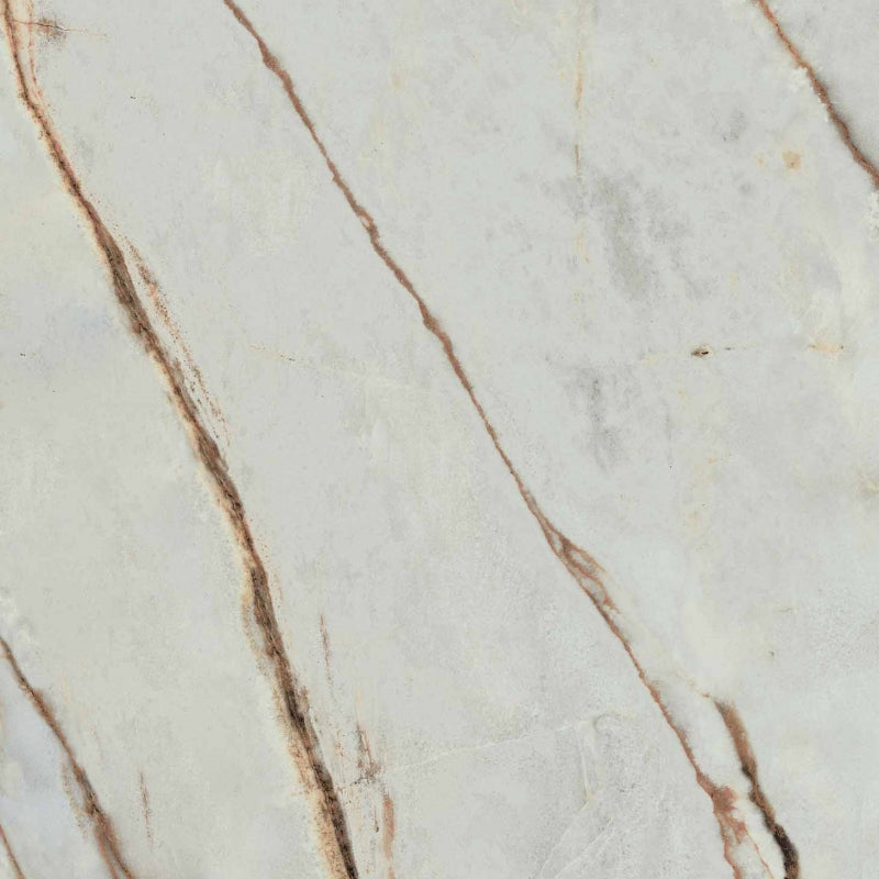 178-416-MARMOTECAGREY-WONDER-60X1201