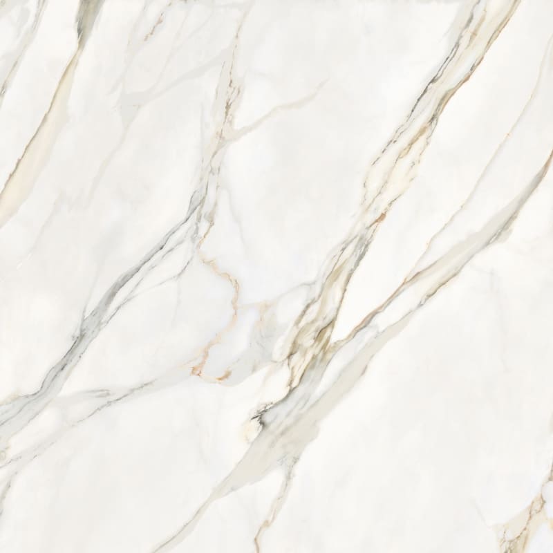 45-825-MARMOTECACALACATTA-ELEGANCE120X1201
