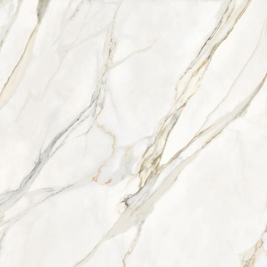 45-825-MARMOTECACALACATTA-ELEGANCE120X1201